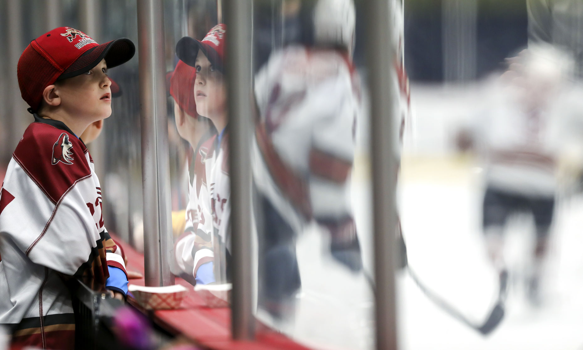 Tucson Roadrunners vs Iowa Wild